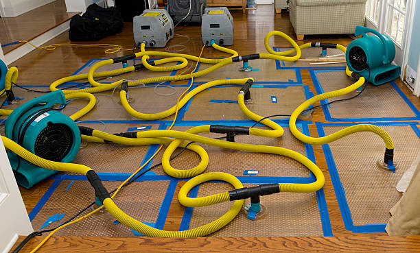 Professional Burst Pipe Water Damage technician working in Oxford, MS